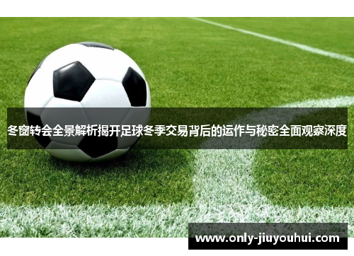 冬窗转会全景解析揭开足球冬季交易背后的运作与秘密全面观察深度