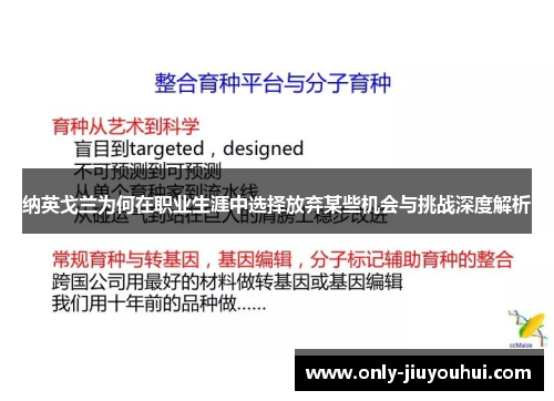 纳英戈兰为何在职业生涯中选择放弃某些机会与挑战深度解析 纳英戈兰为何在职业生涯中选择放弃某些机会与挑战深度解析