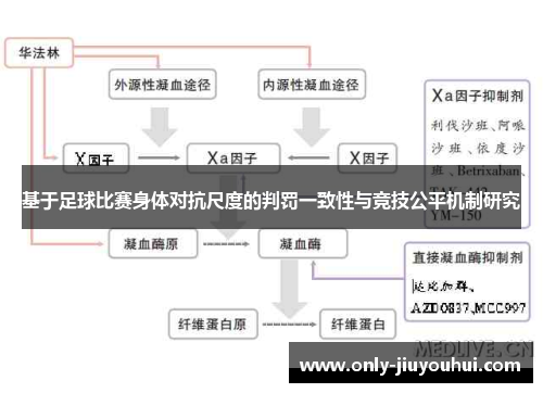 基于足球比赛身体对抗尺度的判罚一致性与竞技公平机制研究